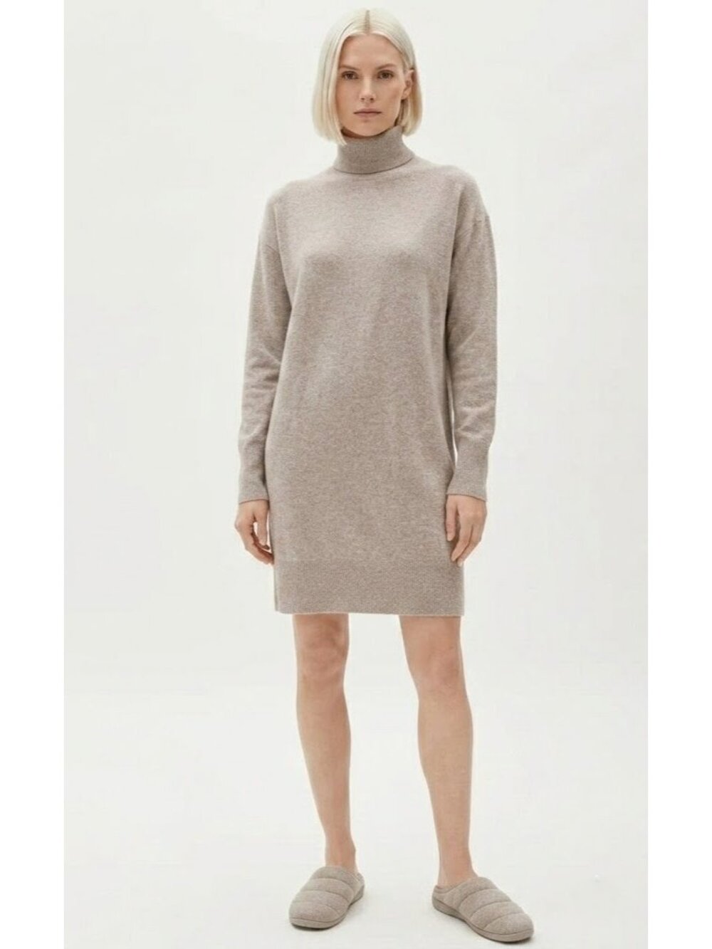 NWT Everlane The Cashmere Turtleneck Dress in Oatmeal Relaxed Sweater Knit M
